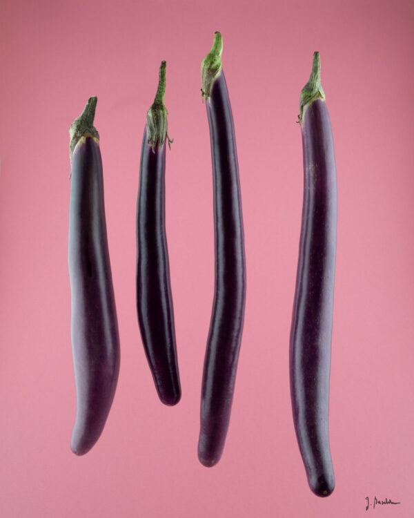 Aubergine – Bild 2