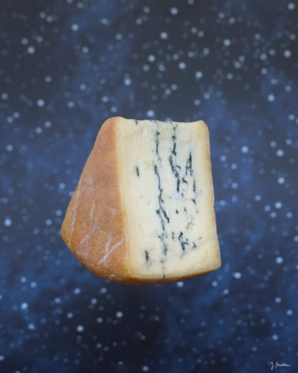 Blauschimmel – Bild 2