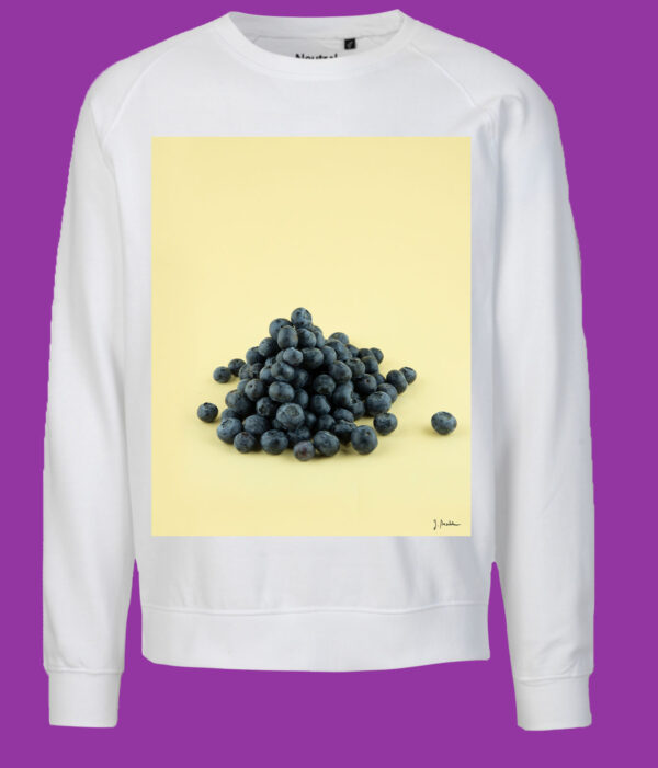 Blaubeeren – Bild 4